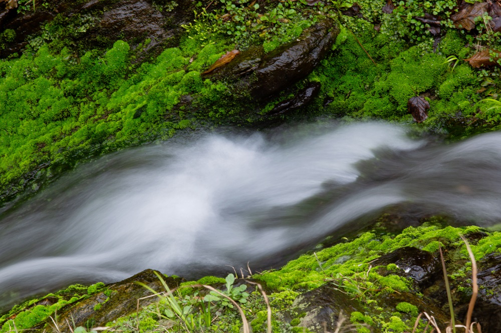 ������(�й���)�ٷ���վ-App Store